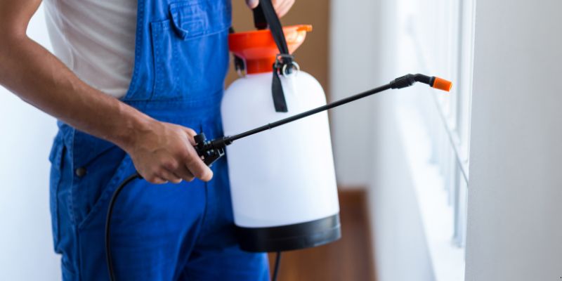 Como fazer dedetização em casa em Piracicaba