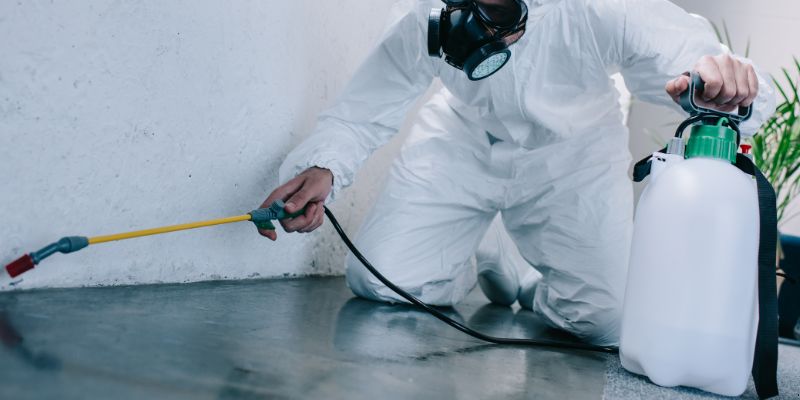 Como é Feita a Dedetização de Baratas em Piracicaba: Conheça 6 Métodos Como é feita a dedetização de baratas em Piracicaba