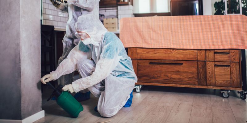 Dedetização em Apartamento Como Funciona em Piracicaba: Confira 4 Passos Dedetização em Apartamento Como Funciona em Piracicaba: Confira 4 Passos