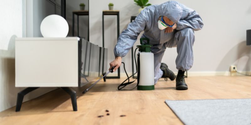 Quanto tempo dura uma dedetização em Piracicaba?